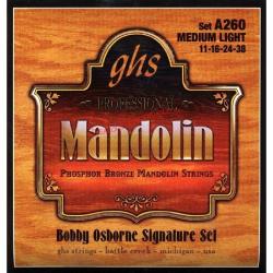 Струны для мандолины фосфорная бронза (в компл. по 2 шт: 11-16-24-38) GHS A260