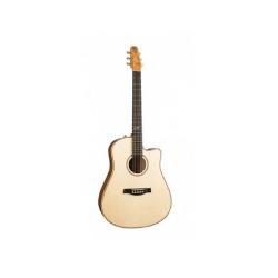 Акустическая гитара, с футляром SEAGULL Artist Cameo CW Element DLX TRIC 41565