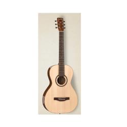 Акустическая гитара SIMON & PATRICK Woodland Pro Parlor Spruce HG 33690