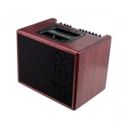 Комбоусилитель для акустических инструментов, 60W, 2 канала, тонированный дуб AER Compact 60_4 OMH