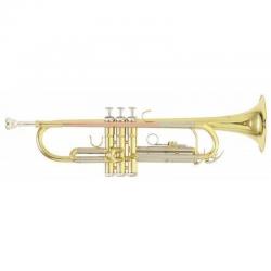 Bb труба (цвет золото) ROY BENSON TR-202