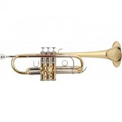C труба (цвет золото) ROY BENSON TR-402C