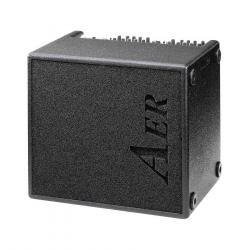 Комбоусилитель для акустических инструментов, 2x60W, 4 канала AER Domino 2. a