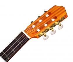 Классическая гитара, корпус махогани, верхняя дека ель, цвет натуральный, покрытие матовое CORDOBA PROTÉGÉ C1M
