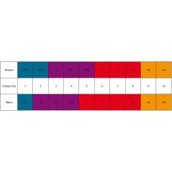 Губная гармоника G nat. minor (M1896486X). Доступ на 30 дней к бесплатным урокам HOHNER Marine Band 1896/20 G nat minor