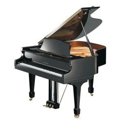 Рояль, 103x151x158, 280кг, цвет-черный, полир. SAMICK NSG158D/EBHP