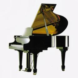 Рояль, 101x148x161, 310кг, цвет-черный, полир. SAMICK SIG54D/EBHP