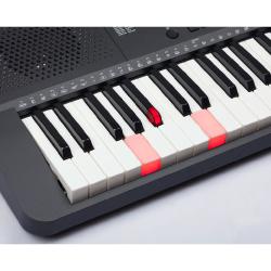Синтезатор, 61 активная клавиша с подсветкой, полифония 32, обучение, USB MEDELI M221L