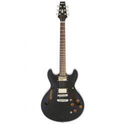 Полуакустическая гитара, 22 лада ARIA PRO II TA-TR1 STBK