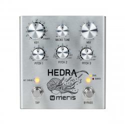 Гитарный эффект MERIS Hedra