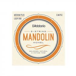 Monel Комплект струн для мандолины, 11-41, монель-металл D'ADDARIO EJM75C