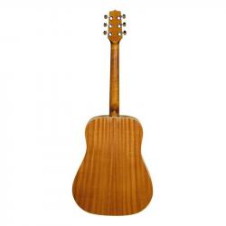 SM55 Акустическая гитара HORA W11304ctw