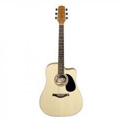 SM55 Акустическая гитара HORA W11304ctw