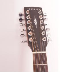 Акустическая гитара 12-струнная с чехлом  PARKWOOD W81-12-OP