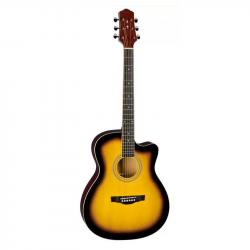 Акустическая гитара с вырезом NARANDA TG120CTS