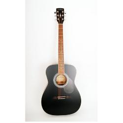 Акустическая гитара с чехлом PARKWOOD PF51-BKS