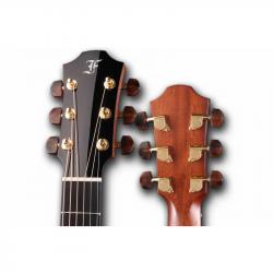 Акустическая гитара с кейсом, Грант Аудиториум, верхняя дека - Solid кедр, корпус - массив инд.пал FURCH Yellow G-CR