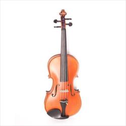 Professional Gama Скрипка 4/4 GLIGA P-V044