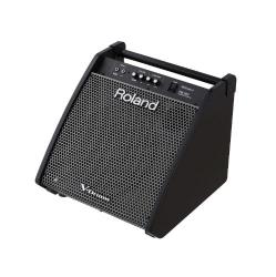 Усилитель ROLAND PM-200