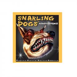 Струны для акустической гитары, Серия: Snarling Dogs, Калибр: 10 14 23 30 39 47, Обмотка: фосфорная бронза, Натяжение: лёгк D'ANDREA SDP10