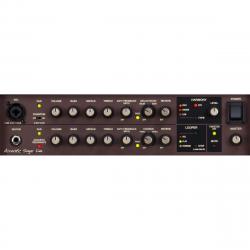 Гитарный комбоусилитель BOSS ACS-LIVE