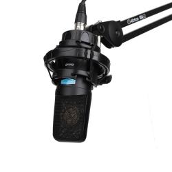 Микрофон конденсаторный студийный ALCTRON Beta3