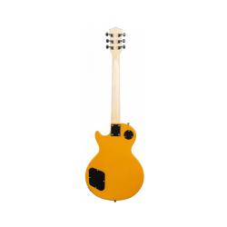 Электрогитара Les Paul, HH, 2V2T, цвет винтажный желтый TERRIS TLP-039 YW