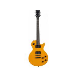 Электрогитара Les Paul, HH, 2V2T, цвет винтажный желтый TERRIS TLP-039 YW