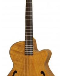 Электроакустическая гитара, цвет: Satin Brown ARIA PRO II FET-F2 STBR