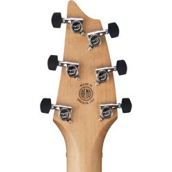 Электроакустическая гитара с кейсом, цвет натуральный BREEDLOVE Oregon Concert CE