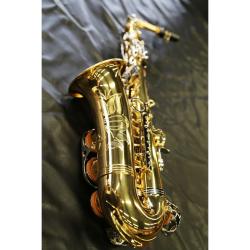 Альт-саксофон, корпус - золотой лак, клапаны - прозрачный лак, легкий кейс STEPHAN WEIS AS-100D