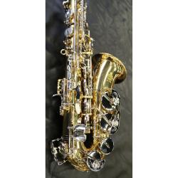 Альт-саксофон, корпус - золотой лак, клапаны - прозрачный лак, легкий кейс STEPHAN WEIS AS-100D