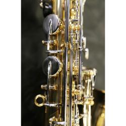 Альт-саксофон, корпус - золотой лак, клапаны - прозрачный лак, легкий кейс STEPHAN WEIS AS-100D