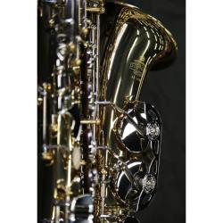 Альт-саксофон, корпус - золотой лак, клапаны - прозрачный лак, легкий кейс STEPHAN WEIS AS-100D