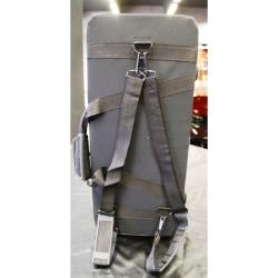 Альт-саксофон, корпус - золотой лак, клапаны - прозрачный лак, легкий кейс STEPHAN WEIS AS-100D