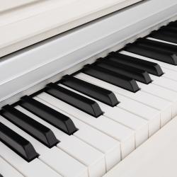 Цифровое пианино ROCKDALE Keys Piano 2 White