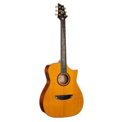 Электро-акустическая гитара, цвет натуральный, с чехлом CORT LUXE-II-WCASE-NAT Frank Gambale Series