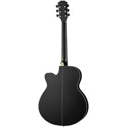 Акустическая гитара, черная FOIX FFG-2040C-BK
