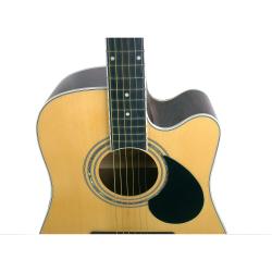 Акустическая гитара с вырезом, дредноут, цвет натуральный GREG BENNETT GD100SC/N