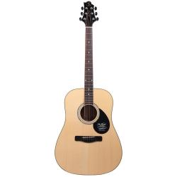 Акустическая гитара с вырезом, дредноут, корпус ель, цвет натуральный GREG BENNETT GD-200S/N