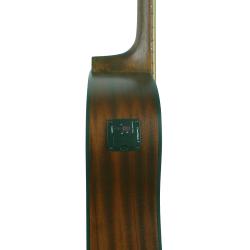 Акустическая гитара, дредноут, тюнер, цвет натуральный GREG BENNETT GD50T/OPN