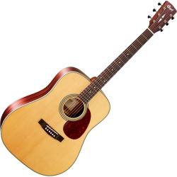 Акустическая гитара, дредноут, верхняя дека цельная ситхинская ель, обечайка EvoRose (композит), гри... CORT Earth80 NAT