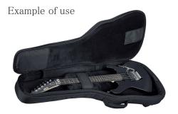 Полужесткий кейс ESP GB25G
