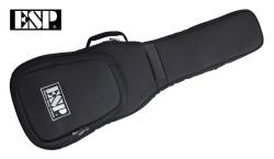 Полужесткий кейс ESP GB25G