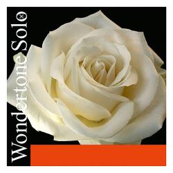 Струна МИ для скрипки Wondertone Solo PIRASTRO 310321
