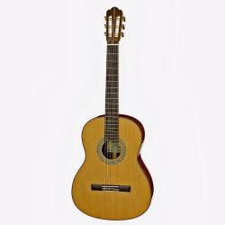 Классическая гитара ARIA PRO II C201