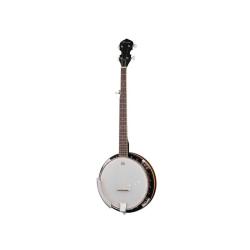 Банджо 5-струнное BLUEGRASS BJ-005-BG