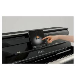 Цифровое пианино с банкеткой, 88 клавиш, механика GFIII, 256 полифония, 96 тембров KAWAI CA901 R