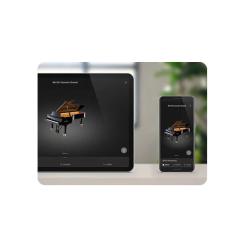 Цифровое пианино с банкеткой, 88 клавиш, механика GFIII, 256 полифония, 96 тембров KAWAI CA901 EP