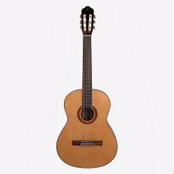 Классическая гитара, ель/ палисандр, чехол, цвет натуральный OMNI CG-410